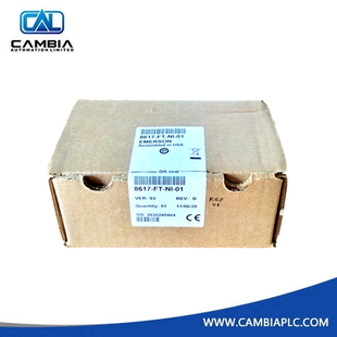 Emerson Field Terminal, 16 Channel Input 8617-FT-NI-01