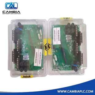 Conjunto de terminación de entrada analógica de bajo nivel 8C-TAIM01 de Honeywell