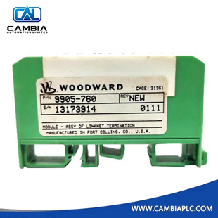 Módulo de resistencia de terminación Woodward Linknet 9905-760