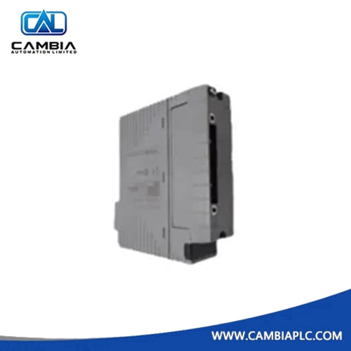 Yokogawa AGP813-S10 Protection Module