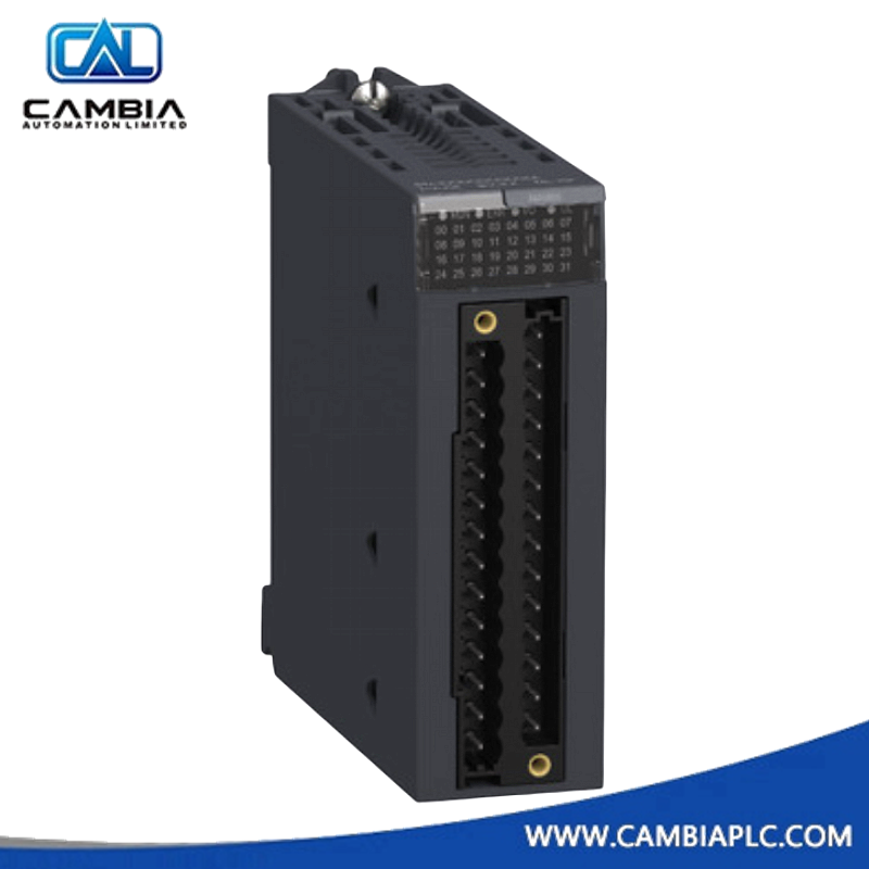 Schneider Modicon X80 BMXAMI0800 Analog Input Module