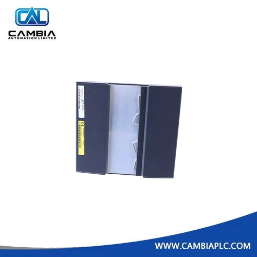 Bachmann BS202 Module New