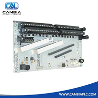 51307075-175 | Honeywell CC-TAIX51 Entrada analógica IOTA