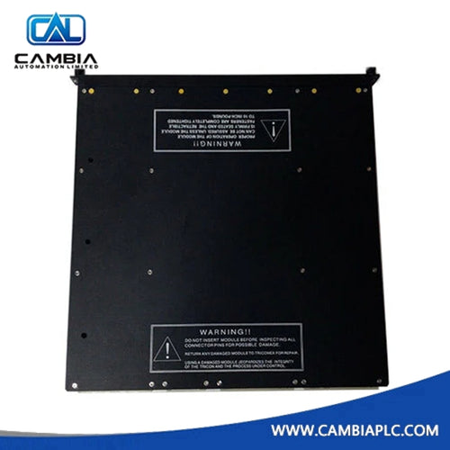 Triconex DI3311 Rəqəmsal Giriş Modulu