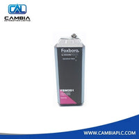Foxboro FBM201 RH914SQ Analog Input Interface Module