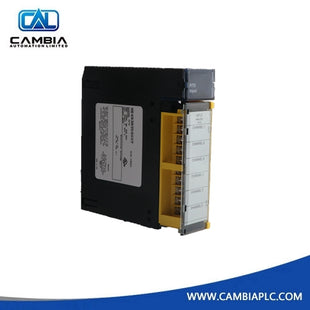 Good quality! GE Fanuc HE693RTD600