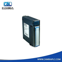 IC694MDL916 | Emerson GE Isolated Relay Output Module