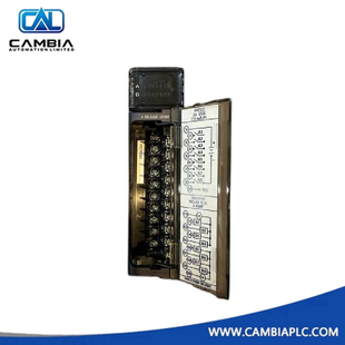 IC694MDL231 | GE Fanuc | Isolated 240 VAC Input Module
