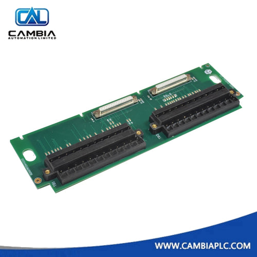 GE Fanuc IS200TRTDH1CCC Resistance Temperature Device