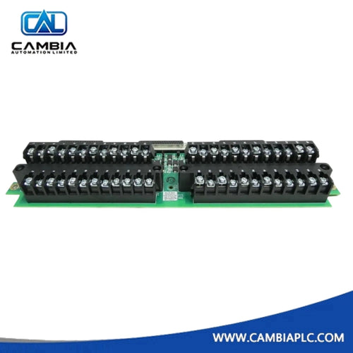 GE Fanuc IS200TRTDH1CCC Resistance Temperature Device