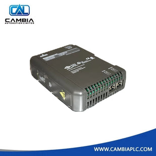 Unidad de interfaz remota (RIU) Emerson KJ2004X1-BA1 disponible