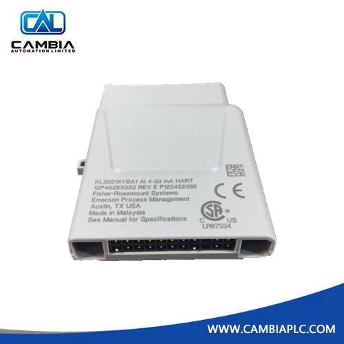 KL3103X1-LS1 Emerson RTD Input CHARM 12P6547X032