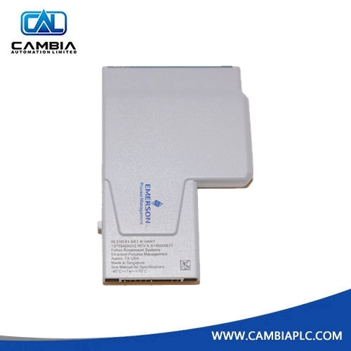 KL3103X1-LS1 Emerson RTD Entrada CHARM 12P6547X032