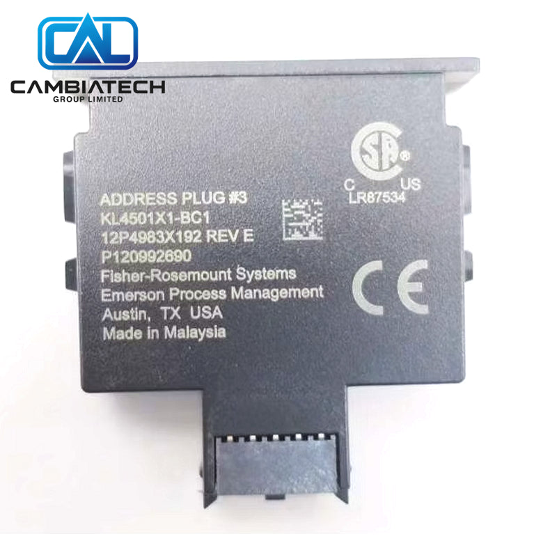 KL4501X1-BC1 Emerson CHARM Address Plug Identification