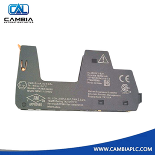 تصنيف الطاقة الطرفية القياسي Emerson KL4502X1-BA1 250 فولت تيار متردد عند 2 أمبير