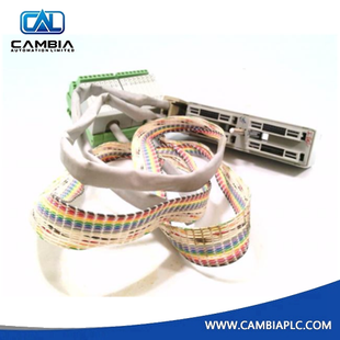 Cable Foxboro P0500SR nuevo y original con terminación 12B