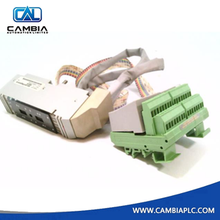 Cable Foxboro P0500SR nuevo y original con terminación 12B