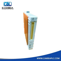 Módulo de E/S analógicas YOKOGAWA S2MMM843-SS1030--Cambiaplc
