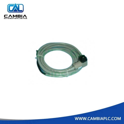 ABB TK807F 3BDM000210R1 | TK 807F Supply Cable