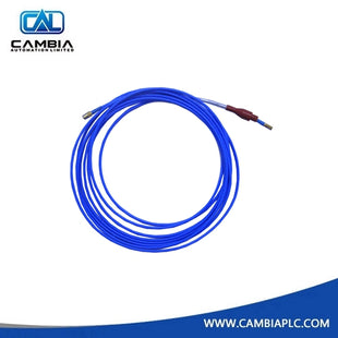 TM0180-07-03-07-05-02 Sensor de desplazamiento por vibración del eje | PROVIBTECH / PREDICTECH