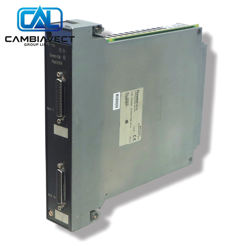 TSX 16ch RTD Input Module TSXAEM1613 Schneider Pt100