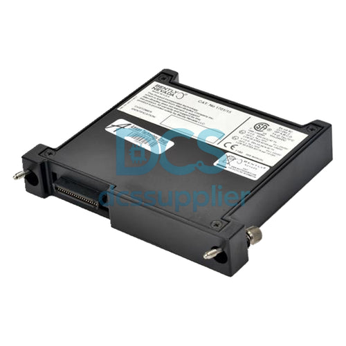 Bently Nevada 100A1000 Drives Module